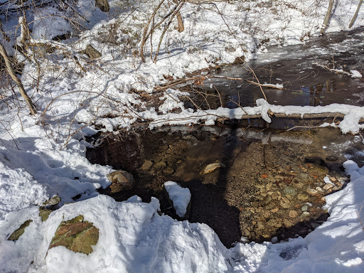 State Park «Wilson Mountain Reservation», reviews and photos, 384 Common St, Dedham, MA 02026, USA