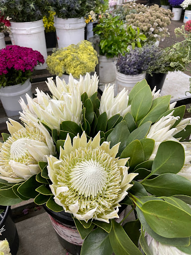 Florist «Cheers Floral Creations», reviews and photos, 21098 Bake Pkwy #114, Lake Forest, CA 92630, USA