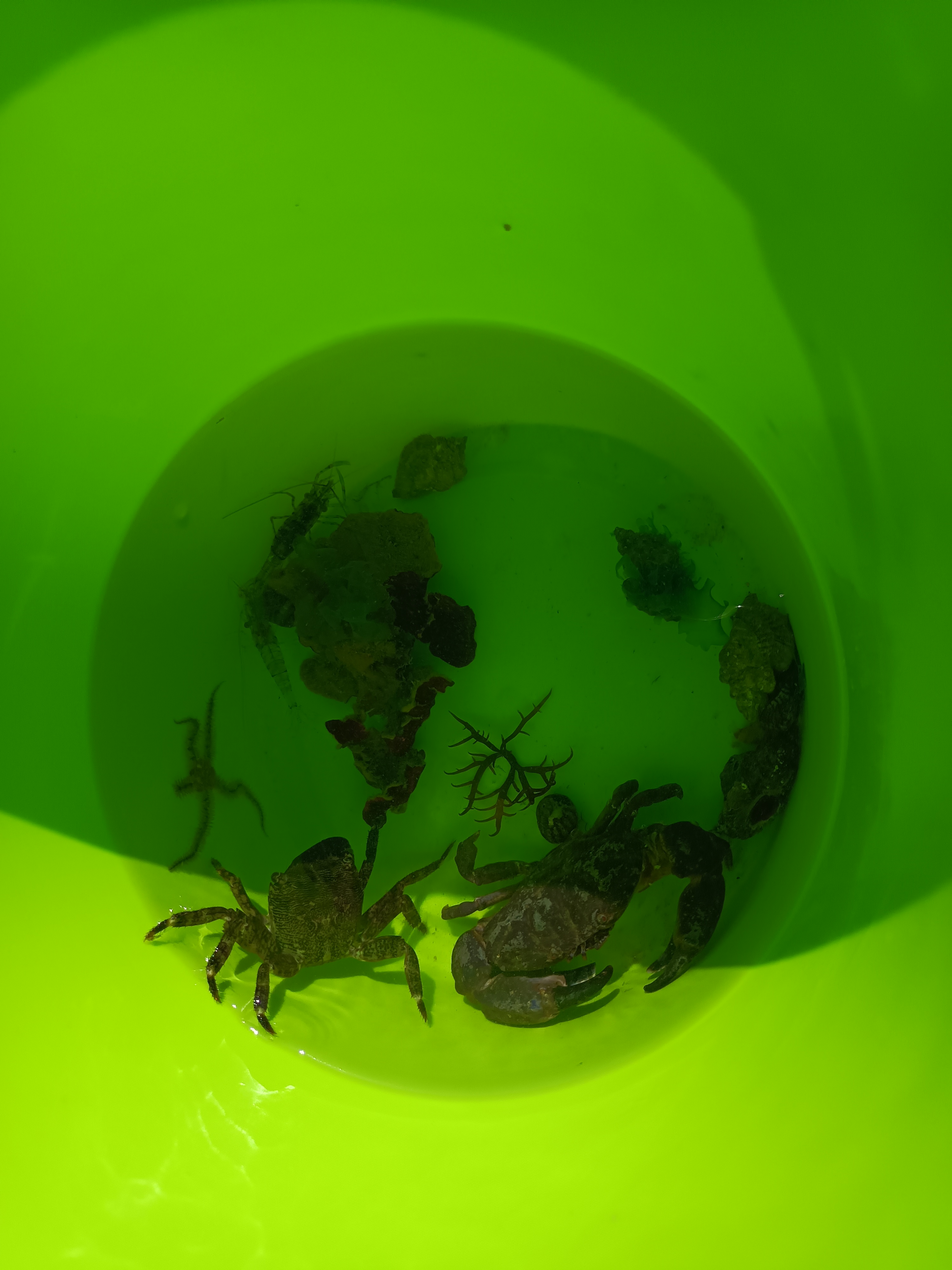 Photo n° 4 de l'avis de Karine.o fait le 08/06/2023 à 15:13