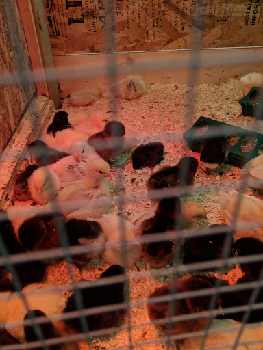 Clothing Store «Big R McHenry», reviews and photos, 1860 N Richmond Rd, McHenry, IL 60051, USA