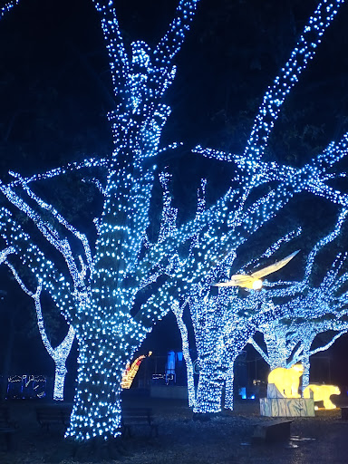 Zoo «Dallas Zoological Society», reviews and photos, 650 S R L Thornton Fwy, Dallas, TX 75203, USA