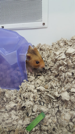 Pet Supply Store «Petco Animal Supplies», reviews and photos, 1970 S Robert St, West St Paul, MN 55118, USA