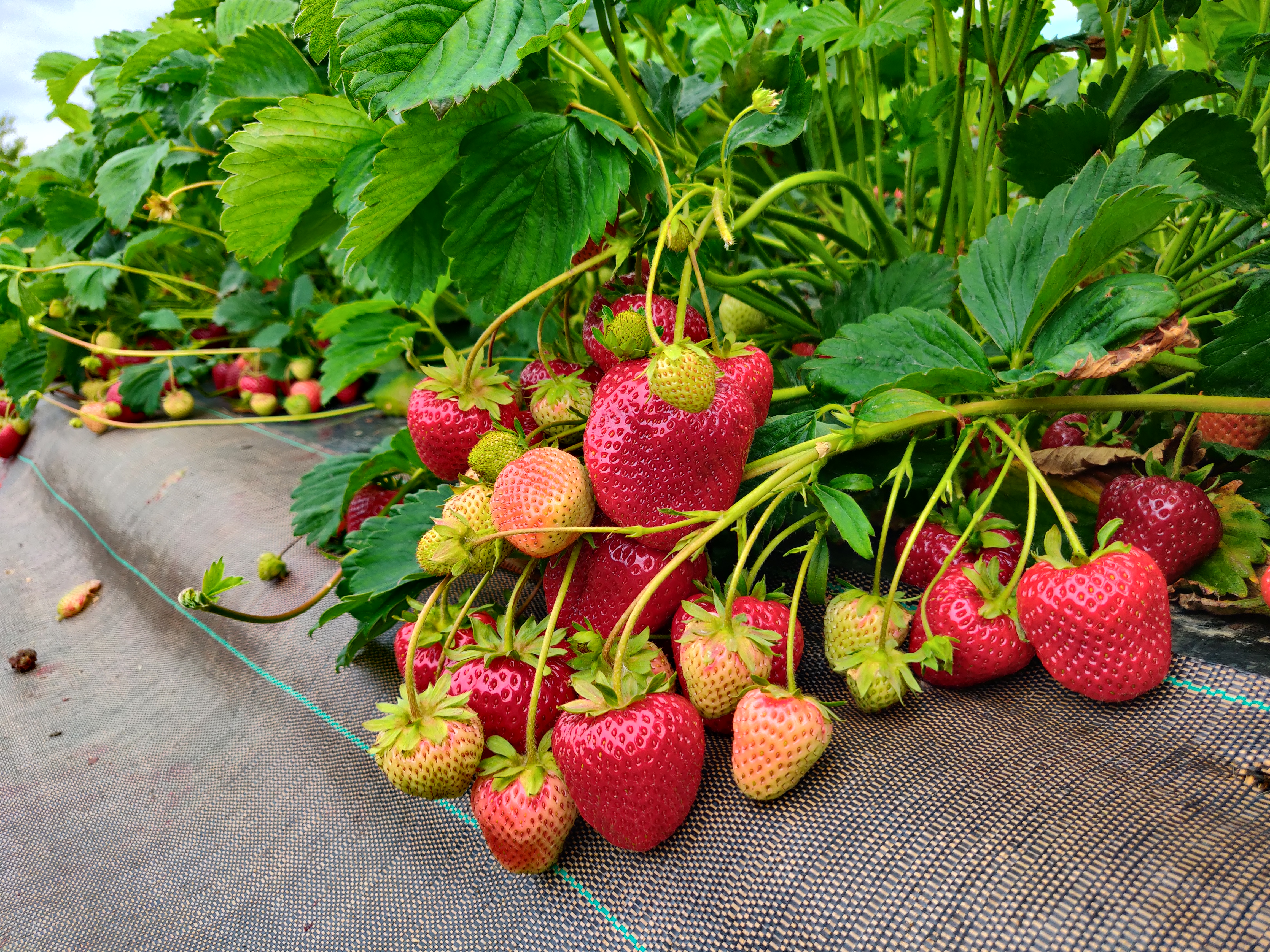 Photo n° 6 de l'avis de Sky.a fait le 23/06/2022 à 14:08