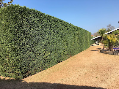 Castegnaro-exterieur à Audenge