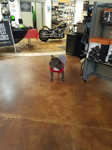 Harley-Davidson Dealer «Tallahassee Harley-Davidson», reviews and photos, 1745 Capital Cir NW, Tallahassee, FL 32303, USA