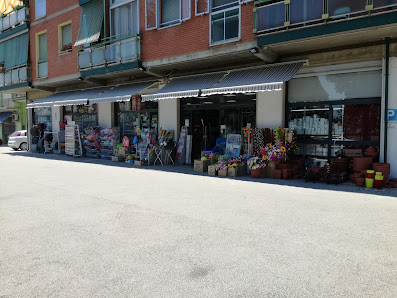 negozio Cinese Via Galliera Sud, 6, 40018 San Pietro In Casale BO, Italia