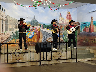 Casa Guanajuato Dallas-Mexico