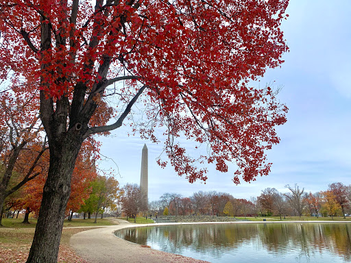 Monument «Washington Monument», reviews and photos, 2 15th St NW, Washington, DC 20024, USA