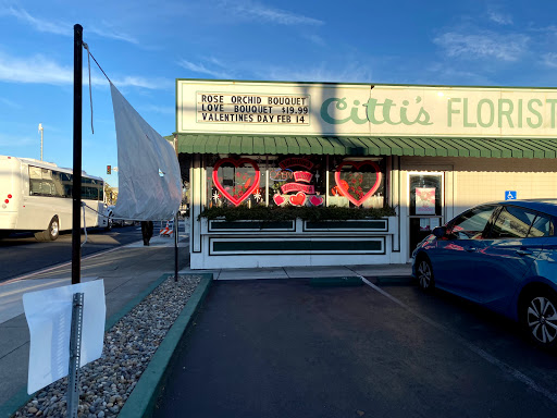 Cittis Florist, 3100 Stevens Creek Blvd, San Jose, CA 95117, USA, 
