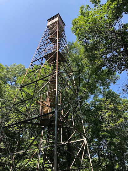 Lincoln State Park Lookout Tower
