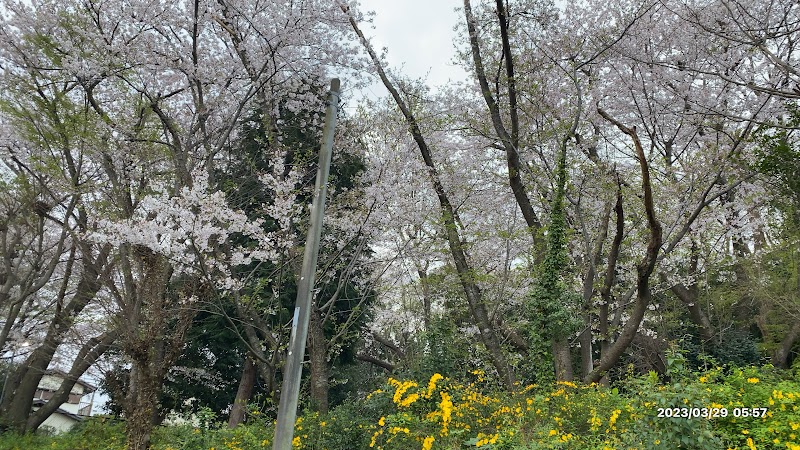 大平山公園