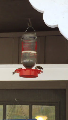 Bakery «Glen Haven General Store», reviews and photos, 7499 Co Rd 43, Glen Haven, CO 80532, USA