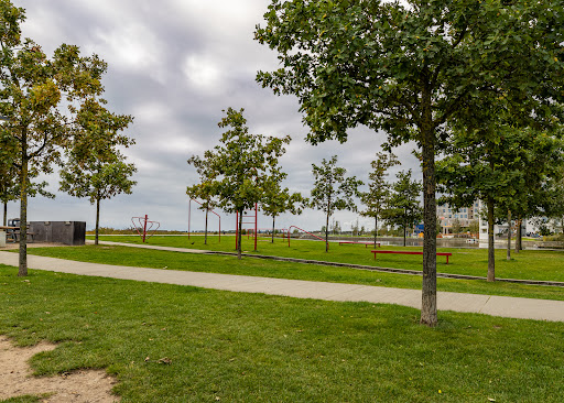 Outdoor fitness in Copenhagen, København