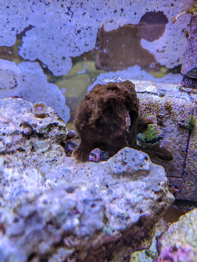 Pet Store «Zoo Pet Center», reviews and photos, 828 Washington St, Peekskill, NY 10566, USA