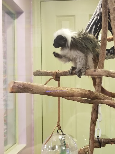 Pet Store «Incredible Pets Inc», reviews and photos, 2255 N Wickham Rd # 102, Melbourne, FL 32935, USA