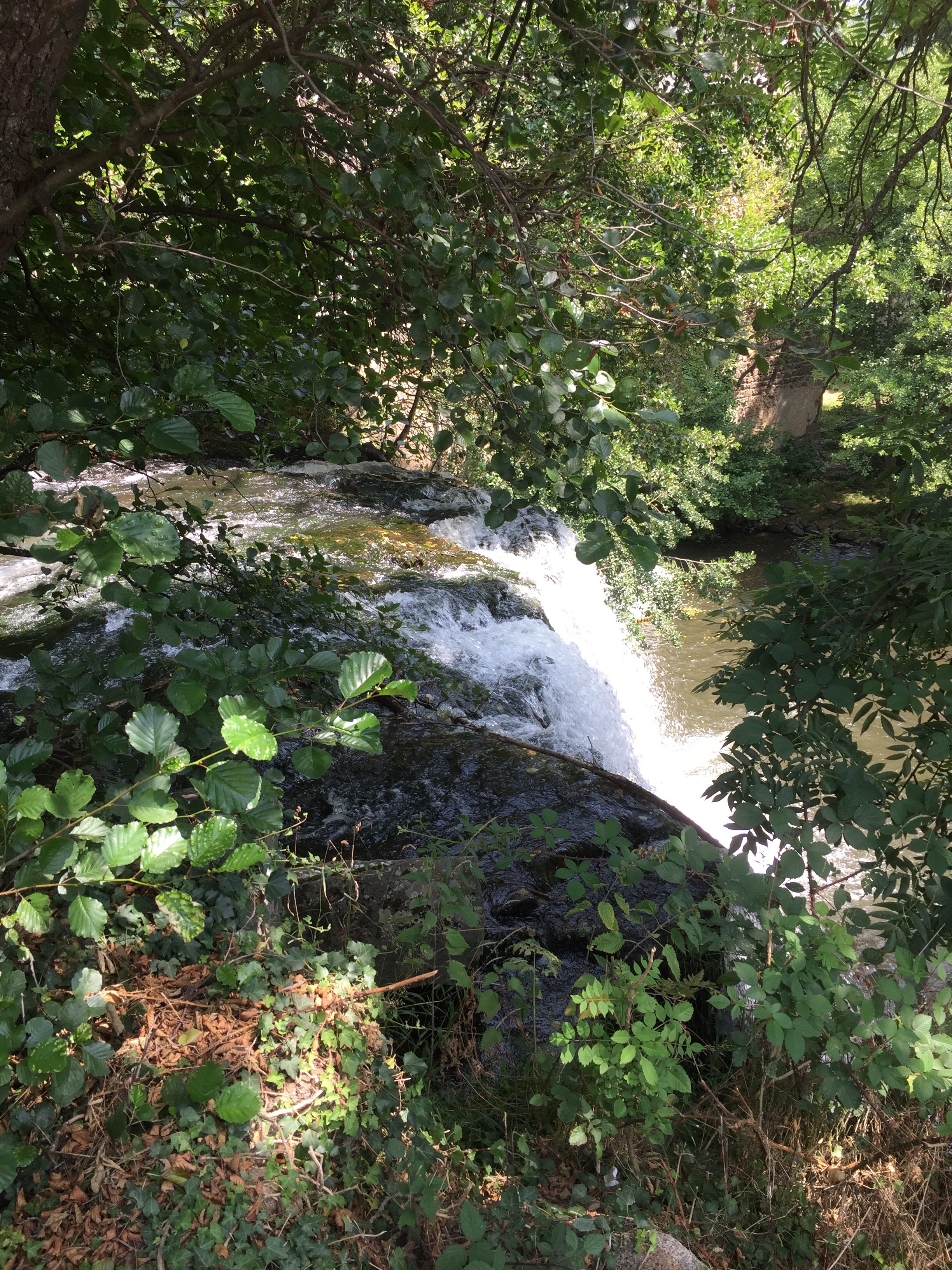 Photo n° 4 de l'avis de Danièle.e fait le 24/07/2023 à 16:31