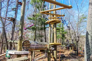 Asheville Treetops Adventure Park image