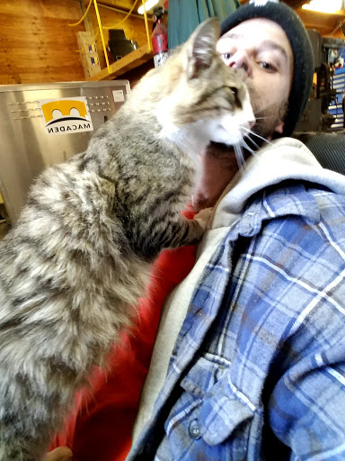 Salvage Yard «Turner Auto Salvage», reviews and photos, 2429 Nashville Hwy, McMinnville, TN 37110, USA