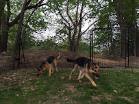 Pet Playgrounds Dog Fence Kits - Photo 4 - Car repair in , Lowell