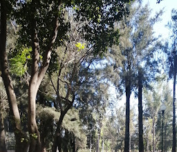 para perros Altamira Park photo