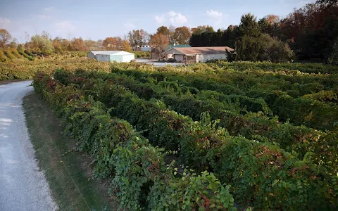 Slate Run Vineyard Winery image