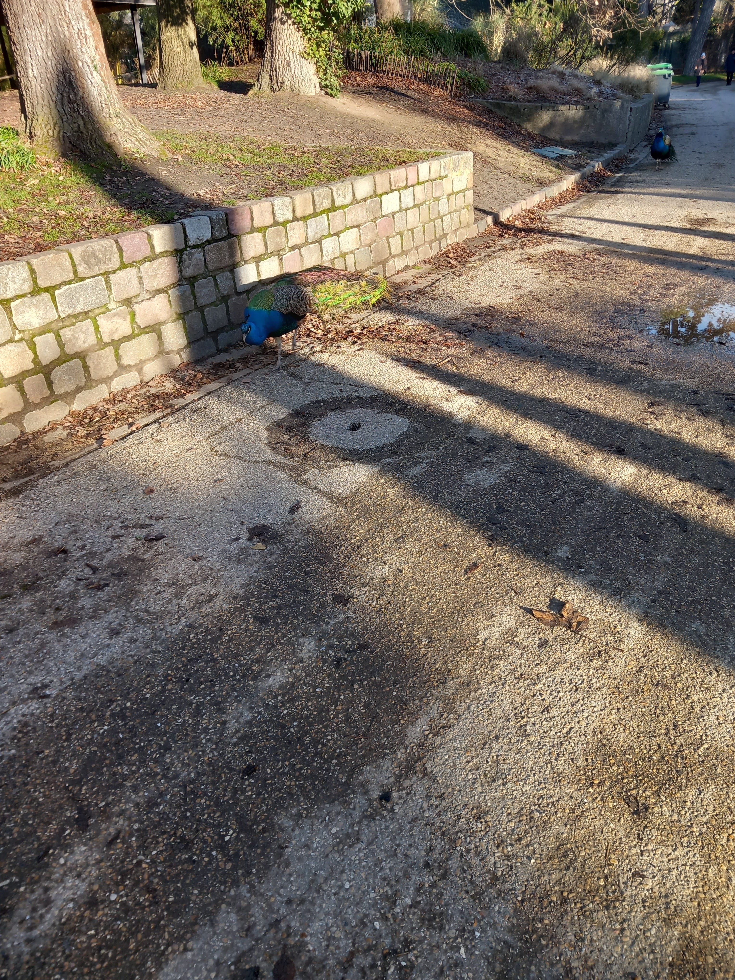 Photo n° 5 de l'avis de Loïc.o fait le 28/01/2024 à 20:24