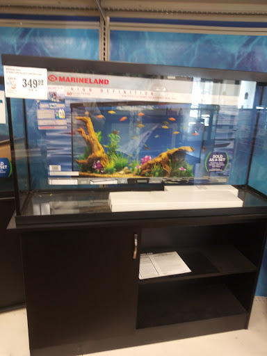 Pet Supply Store «PetSmart», reviews and photos, 160 Wadsworth Blvd, Lakewood, CO 80226, USA