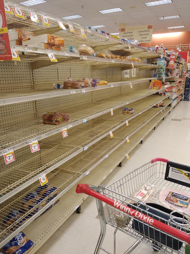 Grocery Store «Winn-Dixie», reviews and photos, 1010 S Ponce De Leon Blvd, St Augustine, FL 32084, USA