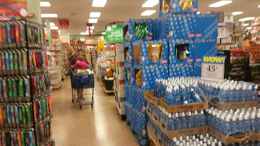 Home Goods Store «Christmas Tree Shops», reviews and photos, 295 Old Oak St #5, Pembroke, MA 02359, USA