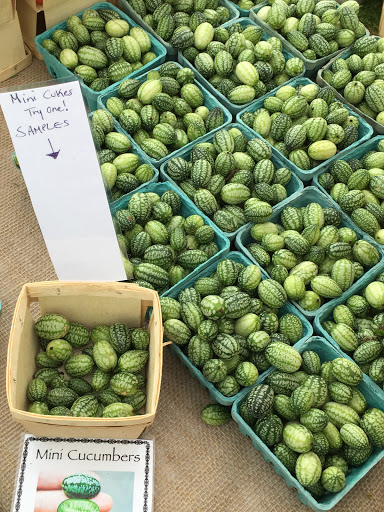 Tourist Attraction «Connecticut Garlic & Harvest Festival», reviews and photos, 304 Main St N, Bethlehem, CT 06751, USA