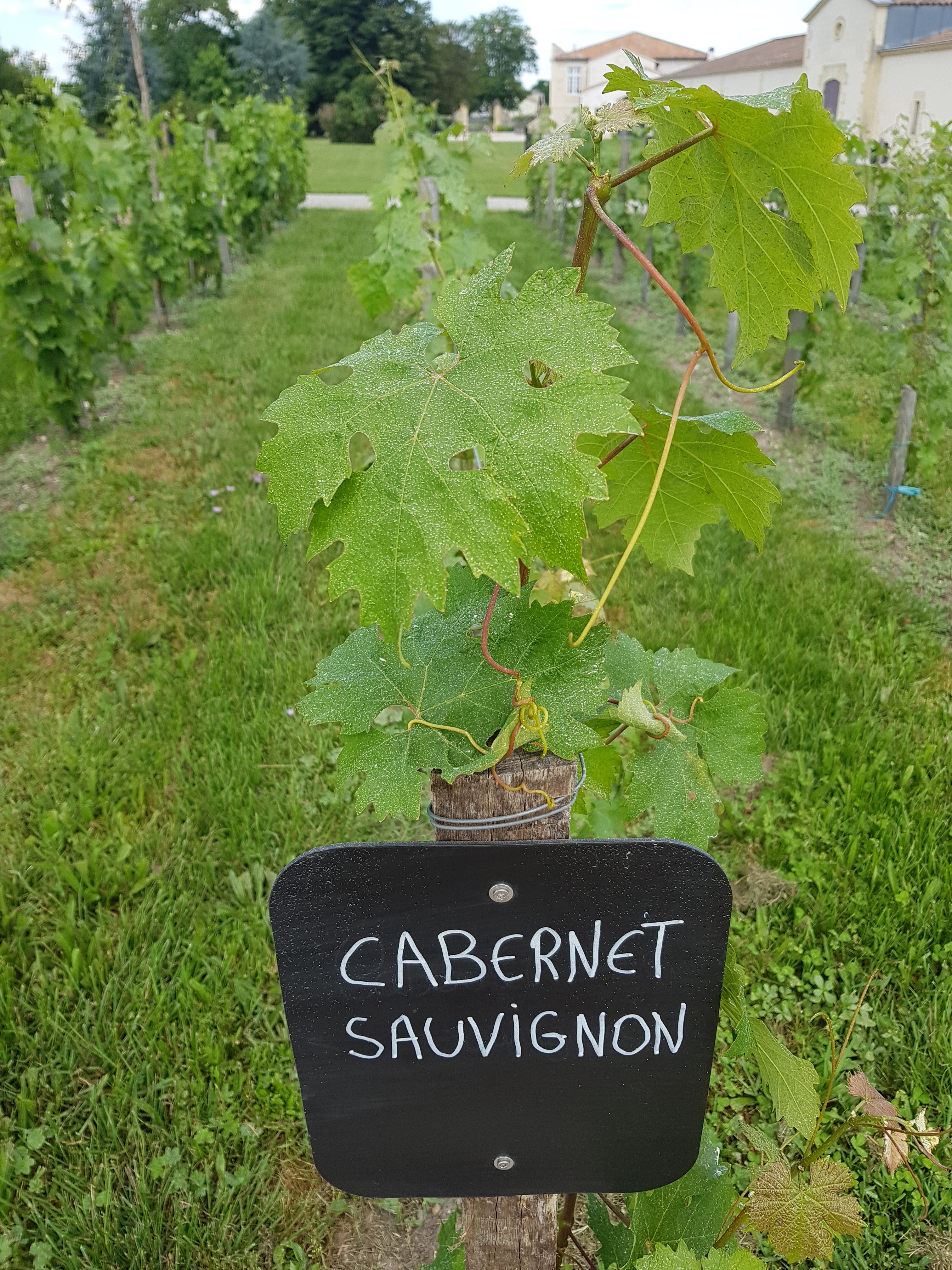 Photo n° 11 de l'avis de Richard.l fait le 22/06/2018 à 04:13