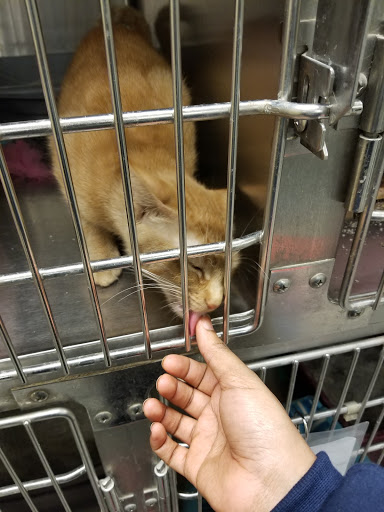 Pet Supply Store «PetSmart», reviews and photos, 8660 Airline Hwy, Baton Rouge, LA 70815, USA