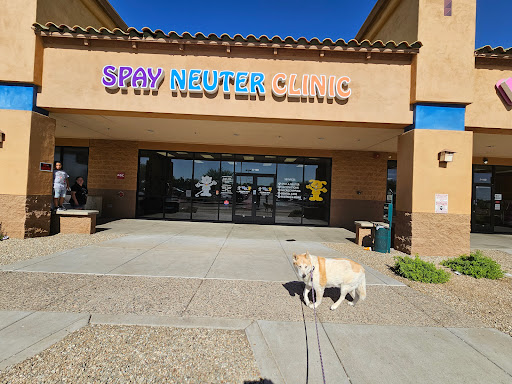 Spay Neuter Clinic: Glendale image