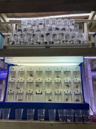 Pet Store «Pet World Ltd», reviews and photos, 14501 Warwick Blvd, Newport News, VA 23608, USA