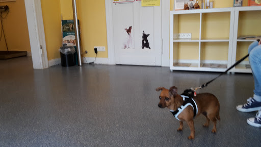 Veterinary practice Jürgen Sandmüller unter Giessen, 