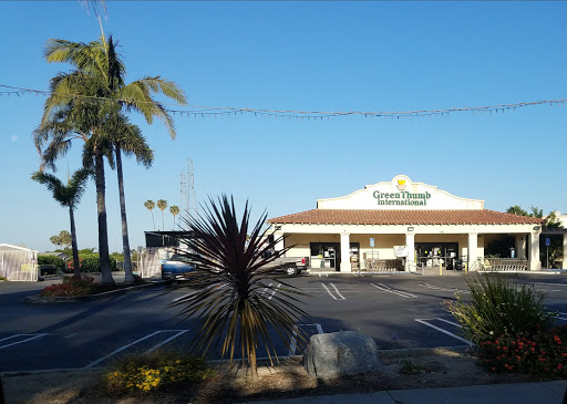 Green Thumb Nursery - Ventura