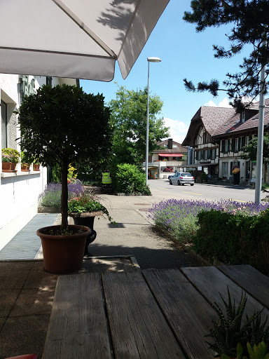 site_photo4
