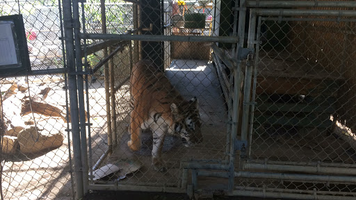 HVAC Contractor «Pros 360», reviews and photos