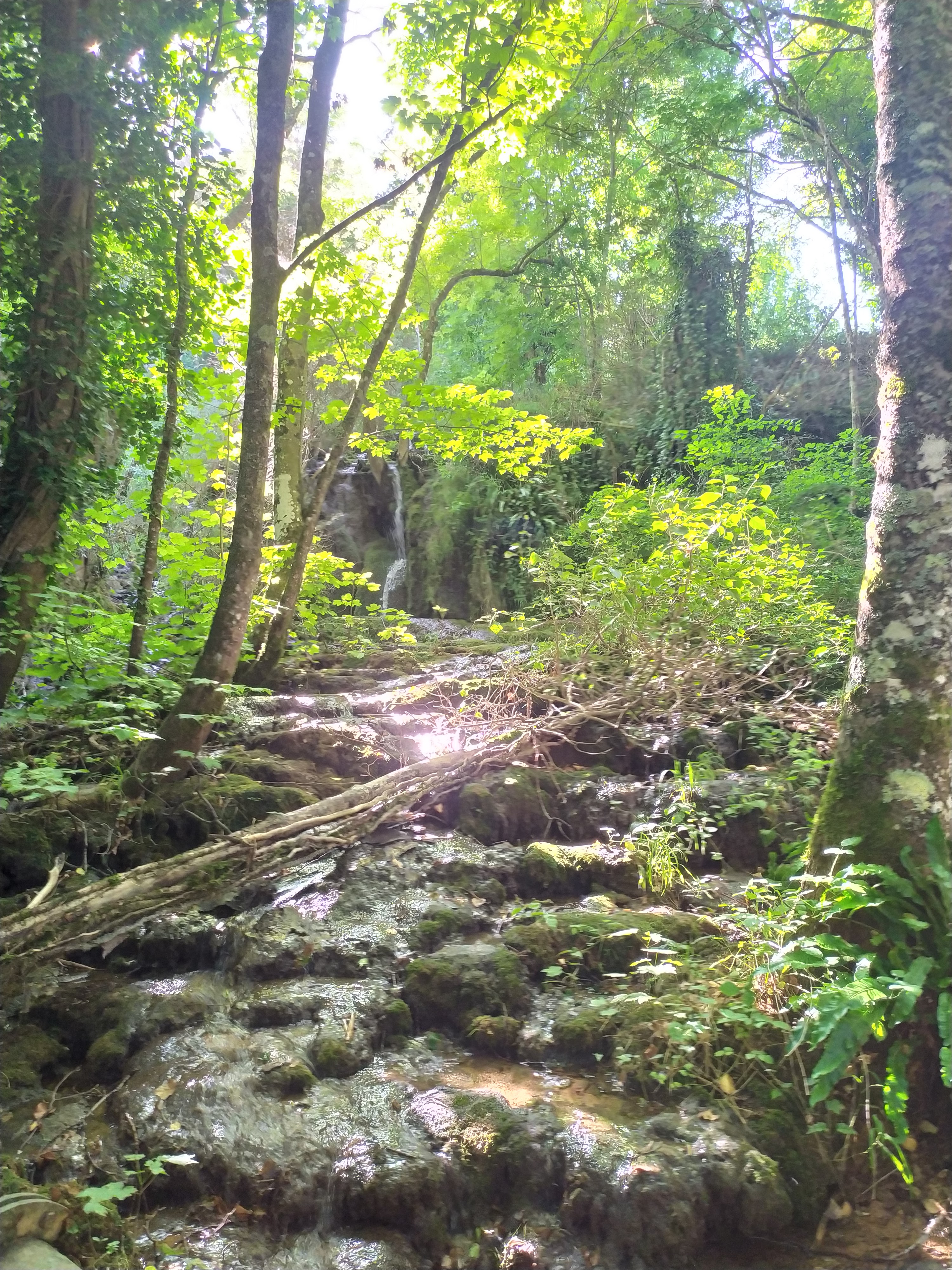 Photo n° 4 de l'avis de Estel.a fait le 17/08/2019 à 05:32