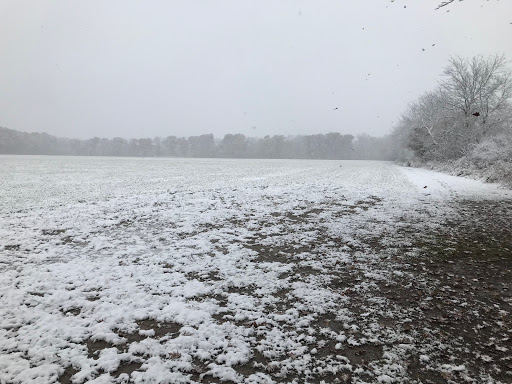 Nature Preserve «DeVries Nature Conservancy», reviews and photos, 2635 N Michigan 52, Owosso, MI 48867, USA