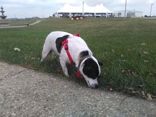 Winery «Chateau de Pique Winery», reviews and photos, 6361 N County Rd 760 E, Seymour, IN 47274, USA