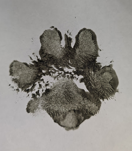 Explore resilience tattoo ideas, creative tattoo ideas in Sarasota, available at SEVEN SINS Tattoo Studio