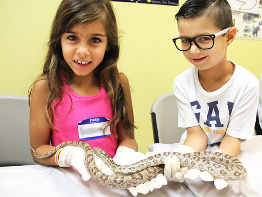 Museum «Creation Discovery Museum», reviews and photos, 2701 W Cypress Creek Rd, Fort Lauderdale, FL 33309, USA