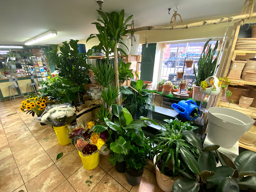 Florist «Bouquets and Baskets», reviews and photos, 548 Jersey Ave, Jersey City, NJ 07302, USA