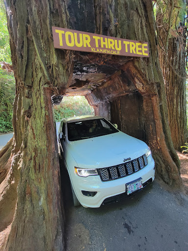 Tourist Attraction «Klamath Tour Thru Tree», reviews and photos, 430 California 169, Klamath, CA 95548, USA