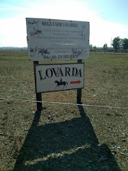 Mega Farm Lovarda