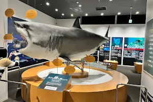 Kesennuma Shark Museum image