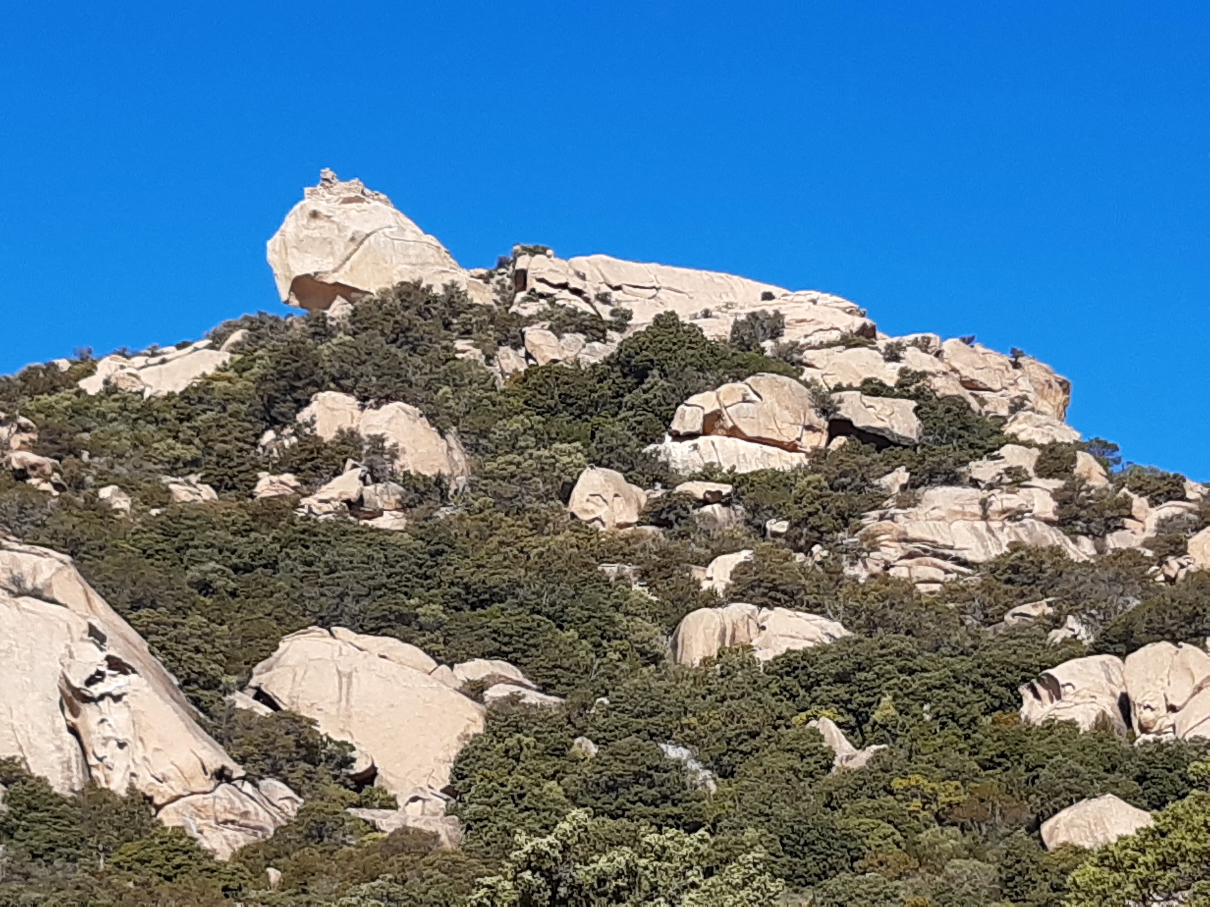 Photo n° 11 de l'avis de Nounou.r fait le 28/01/2022 à 12:39