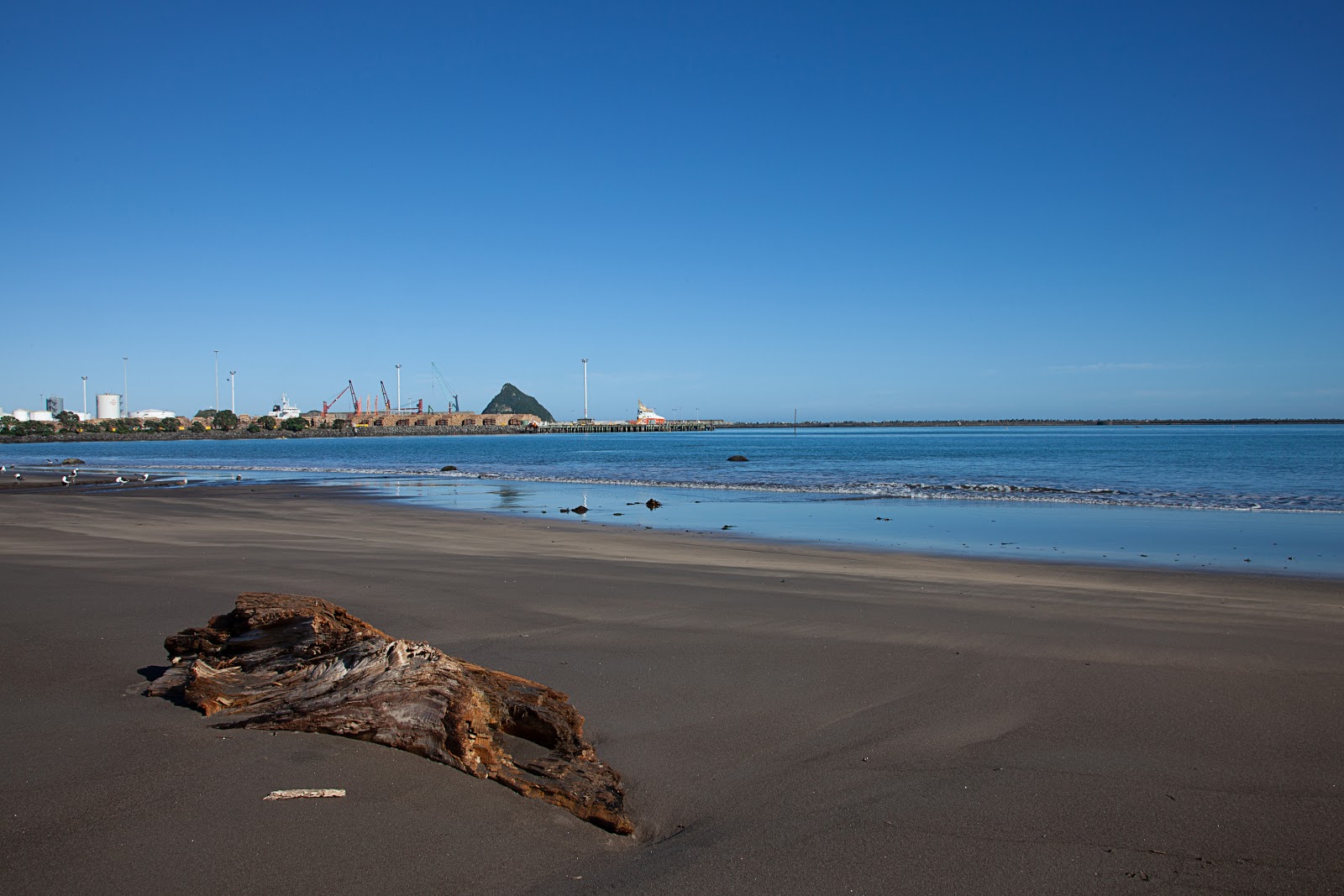 Foto de Ngamotu Beach con muy limpio nivel de limpieza
