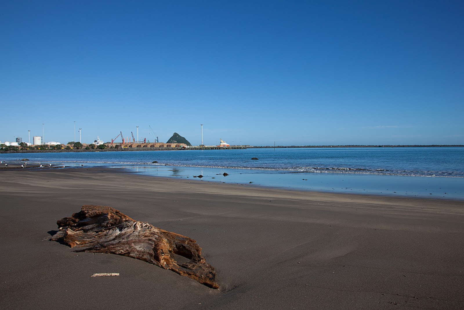 Photo of Ngamotu Beach with very clean level of cleanliness